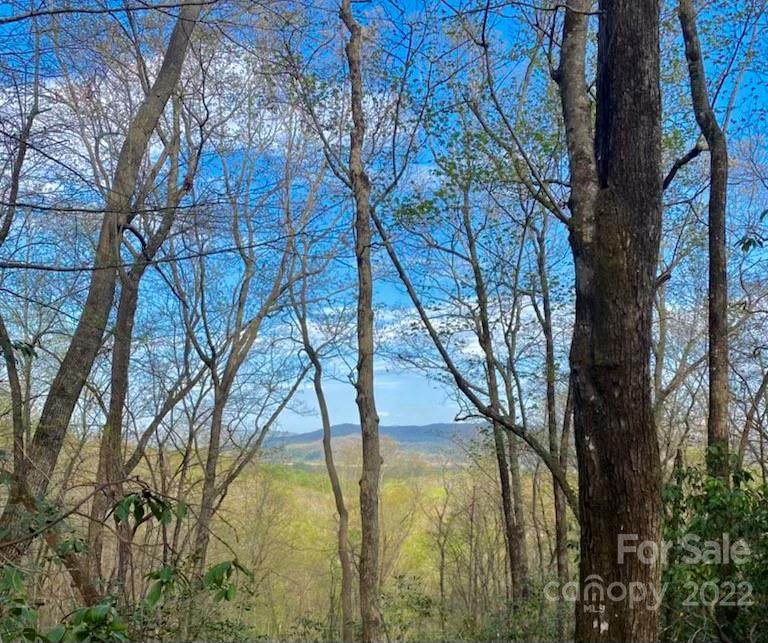 520 Burrell Mountain Road - Photo 1