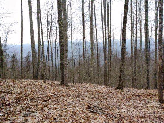 406 High Line Drive - Photo 1
