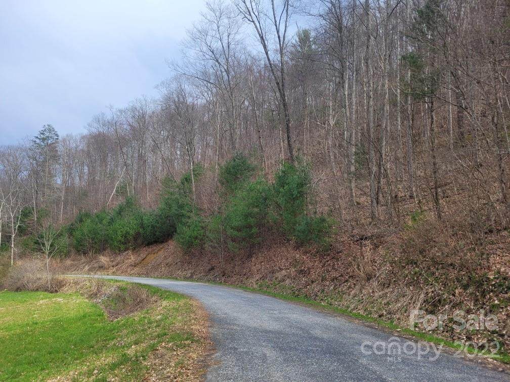 00 Tolley Farm Road - Photo 1