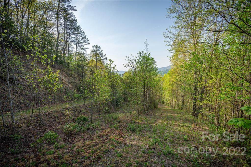 Lot 53 Wolverine Court - Photo 1