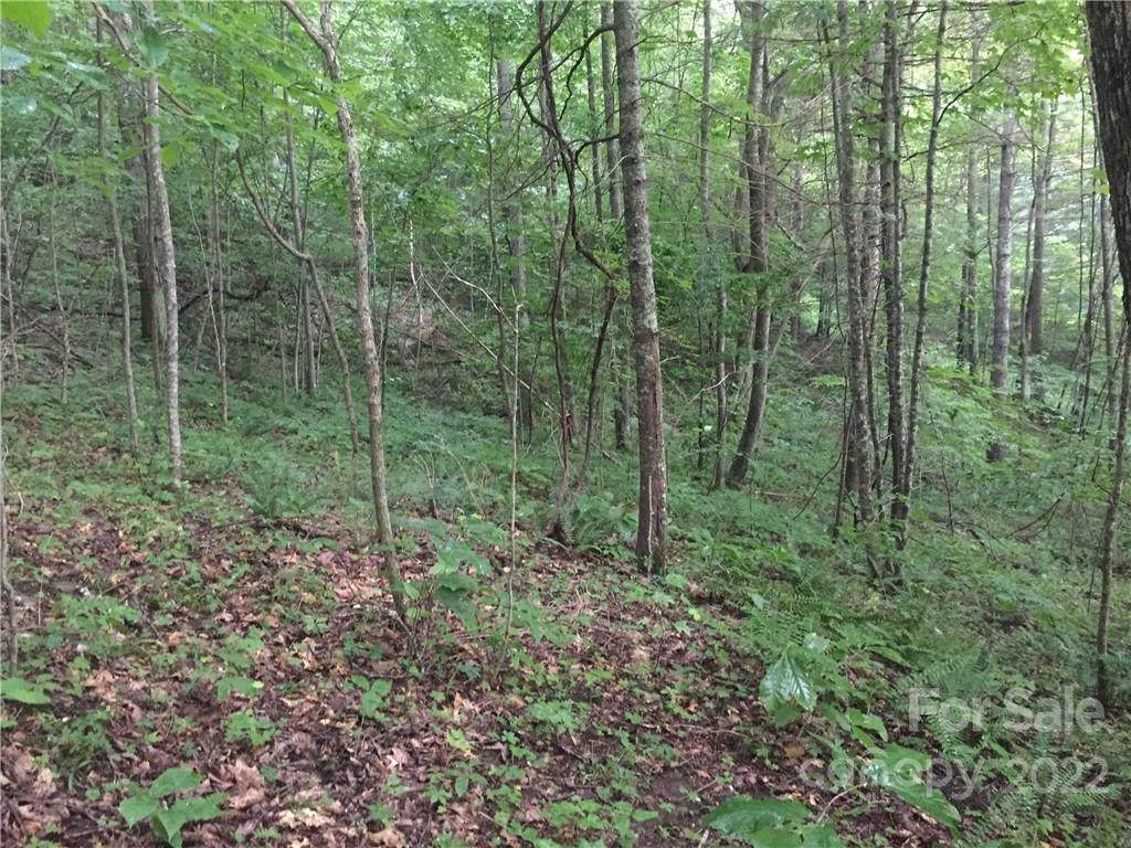 0 Ike Woods Road - Photo 1