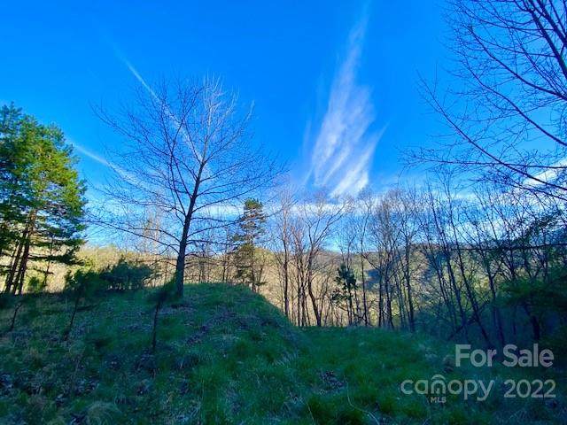 00 Brush Creek Road - Photo 1