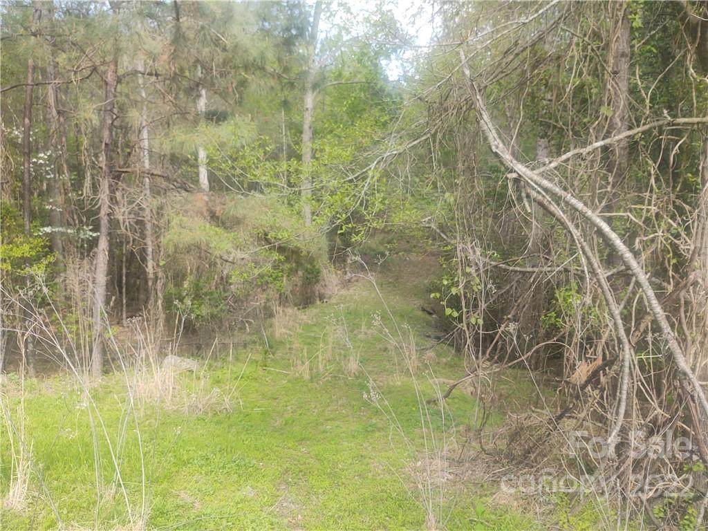 00 Bridges Farm Road - Photo 1