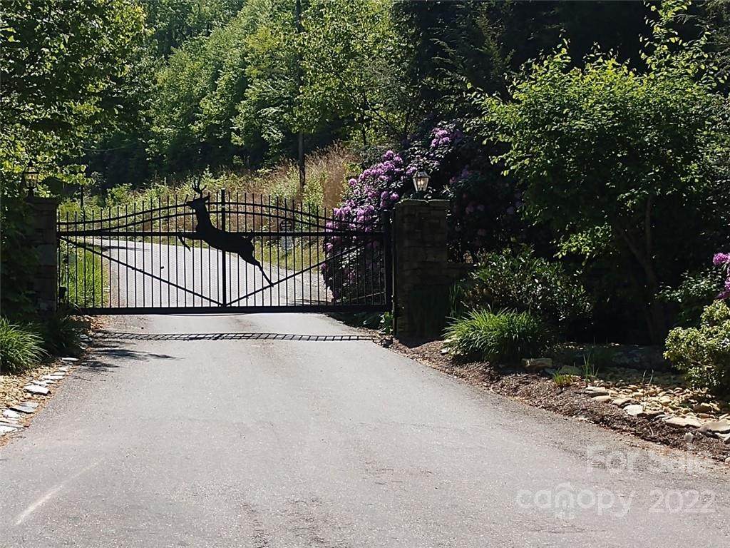 00 Wolf Pen Road - Photo 1