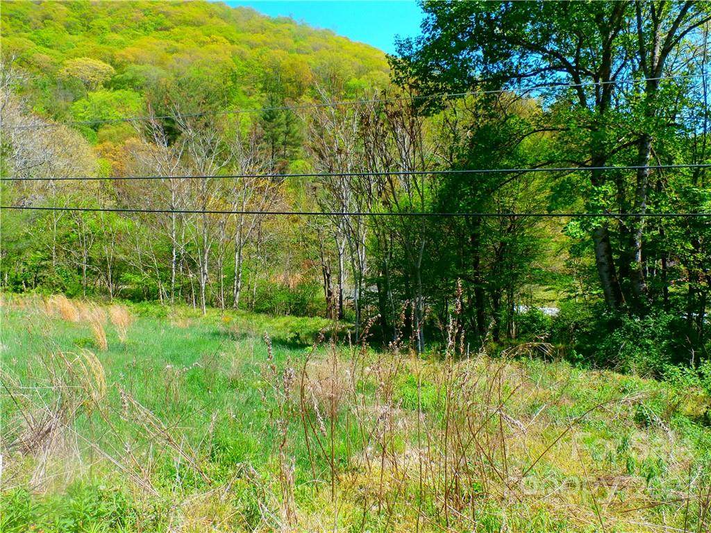 TBD Cane Creek Road - Photo 1