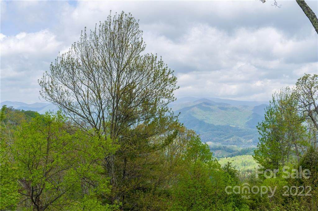 10 Stoney Falls Loop - Photo 1