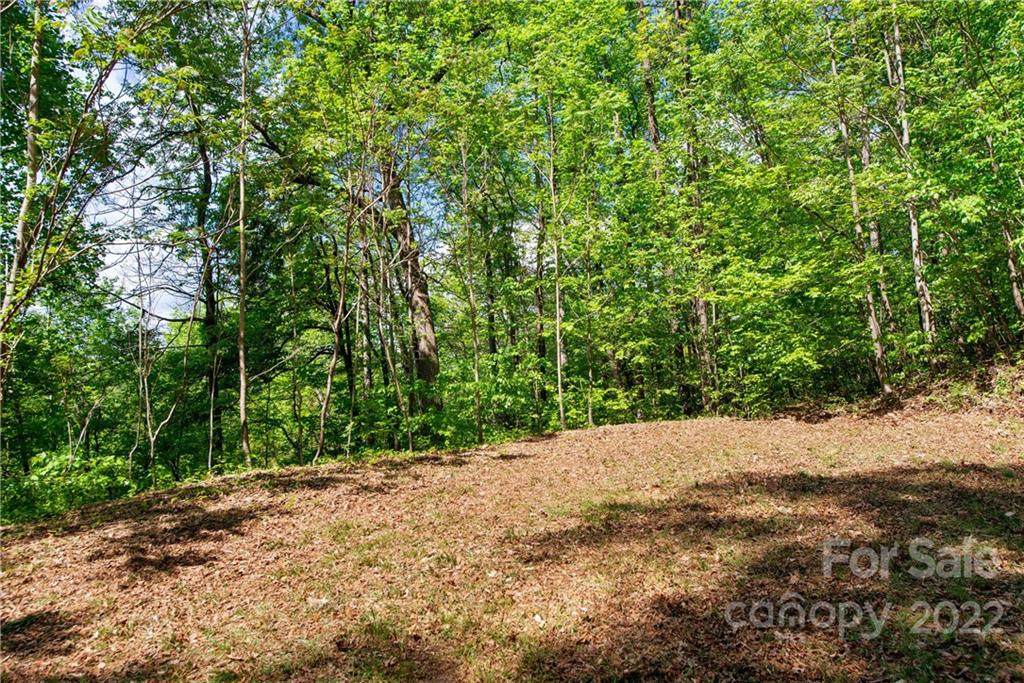 561 Mckenzie Way South Way - Photo 1