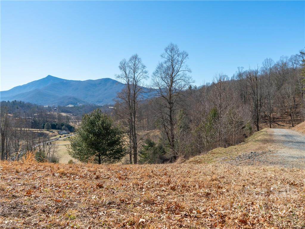 000 Locust Rough Road - Photo 1