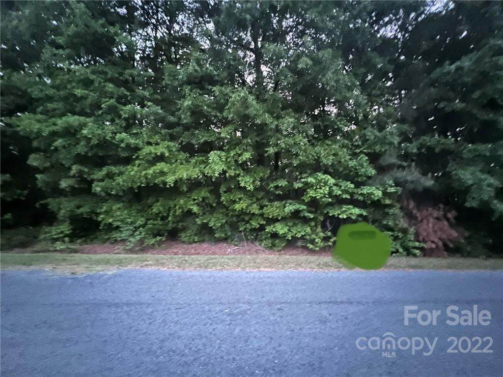 00 Arant Road - Photo 1