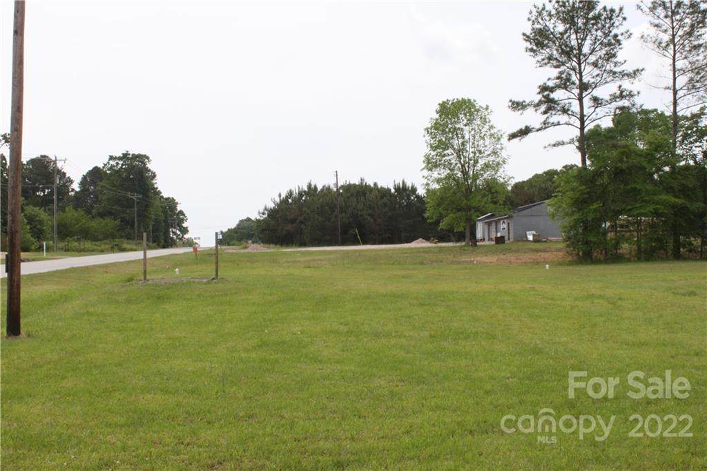 0 Catawba River Road - Photo 1