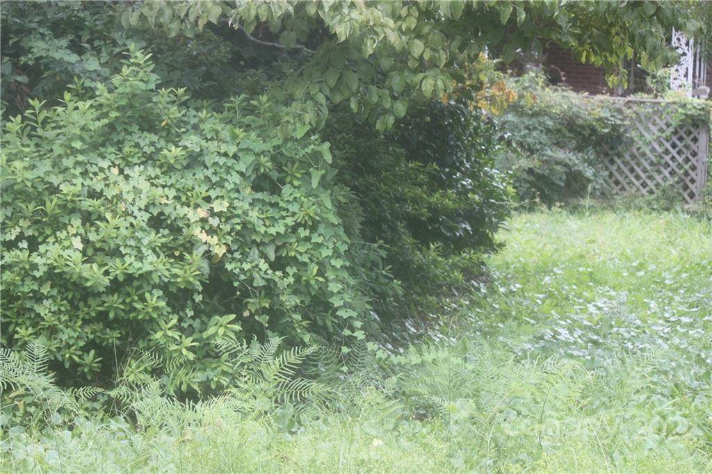 6634 Wilkinson Boulevard - Photo 1