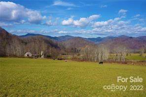 0 Poplar Cove Road - Photo 1