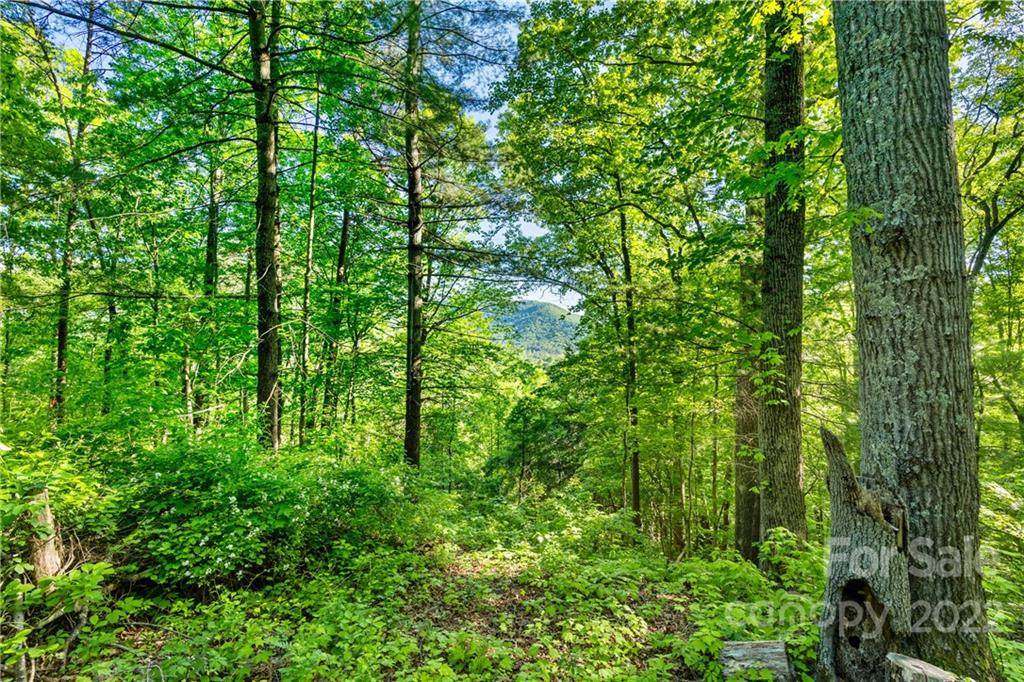 45 Small Mountain Drive - Photo 1