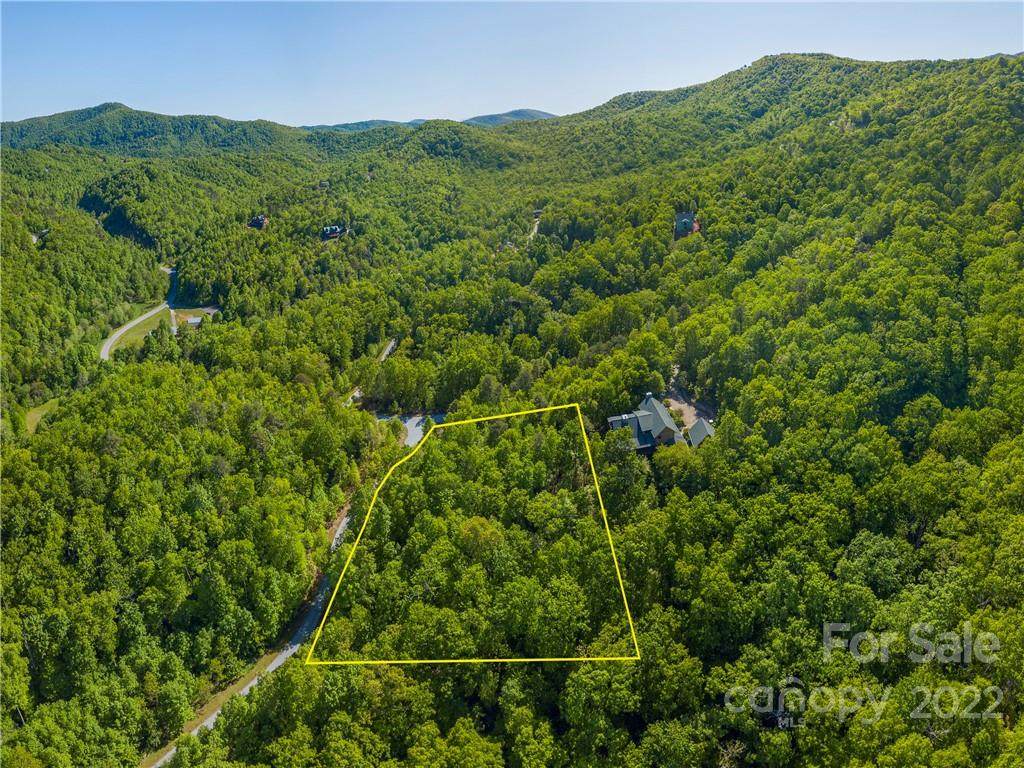 LOT 180 Catawba Falls Preserve - Photo 1