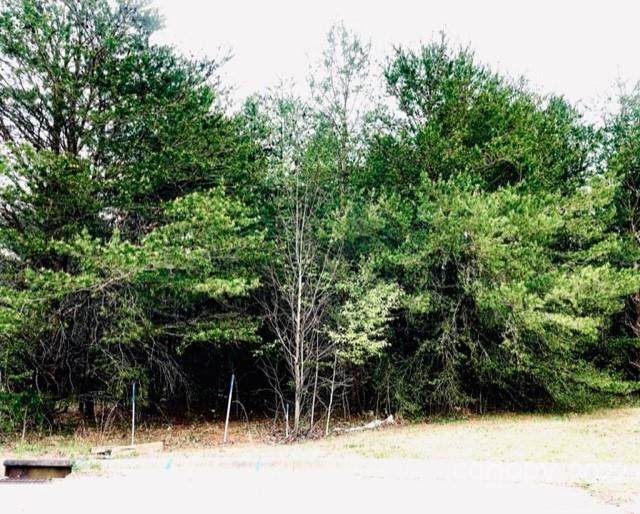 0 Mountain View Park - Photo 1