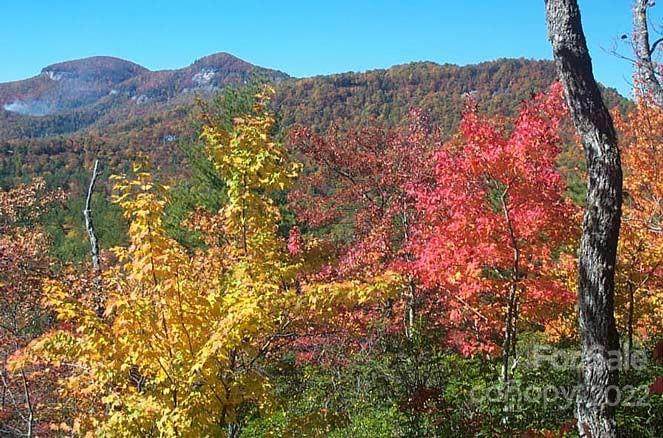 46 Hawk Mountain Road - Photo 1