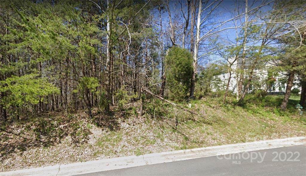 0 Loganberry Lane - Photo 1