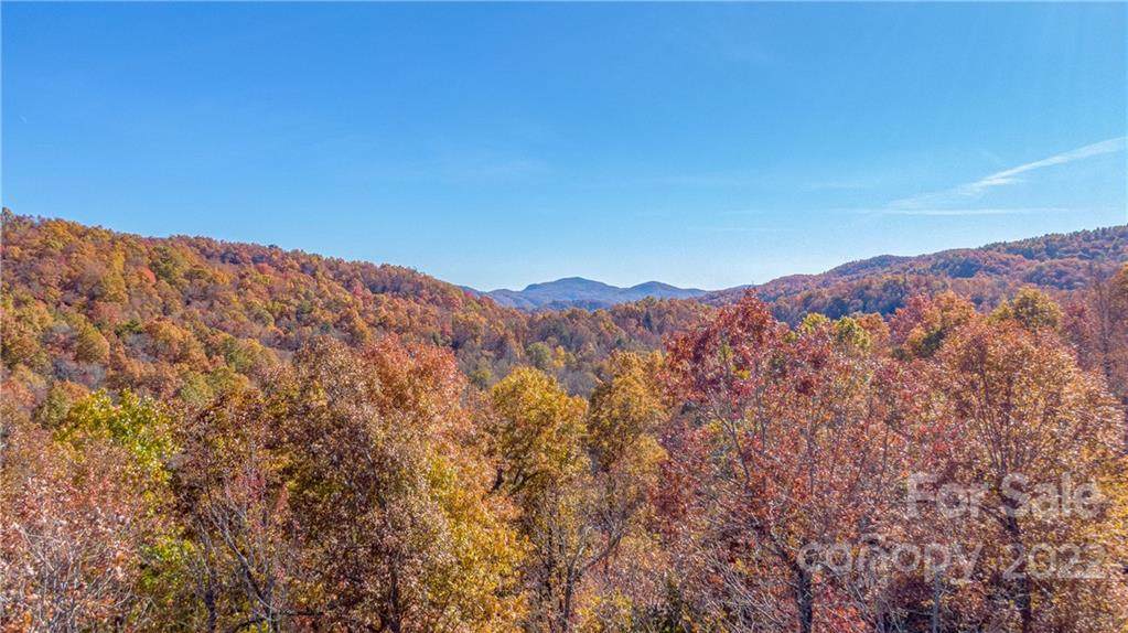 194 Crooked Creek Road - Photo 1