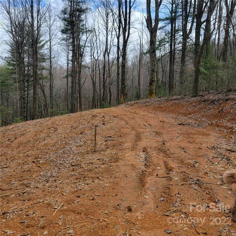306A Lynn Crest Drive - Photo 1