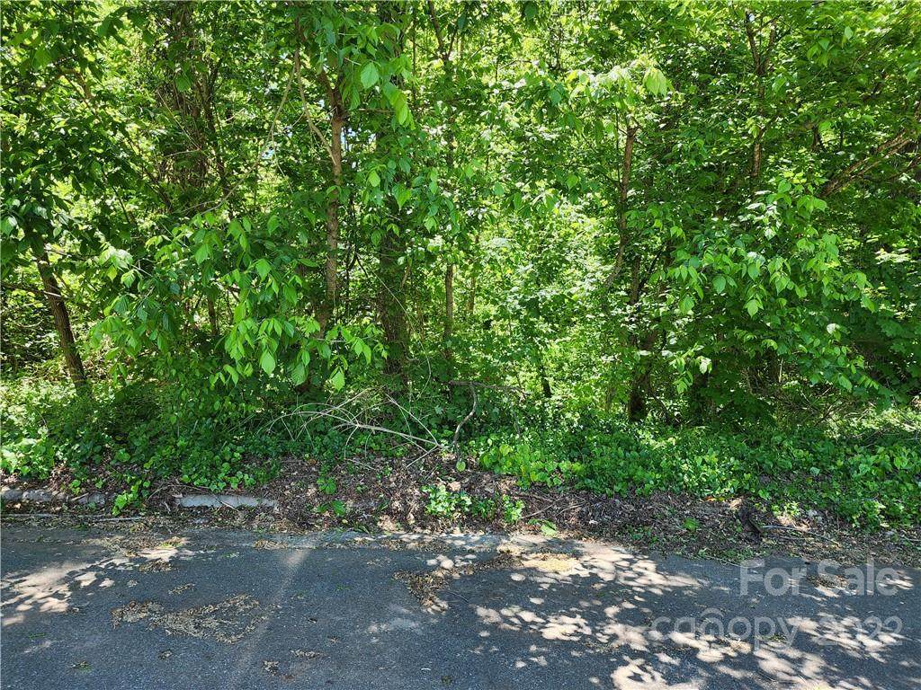 Lot 5 Springdale Road - Photo 1