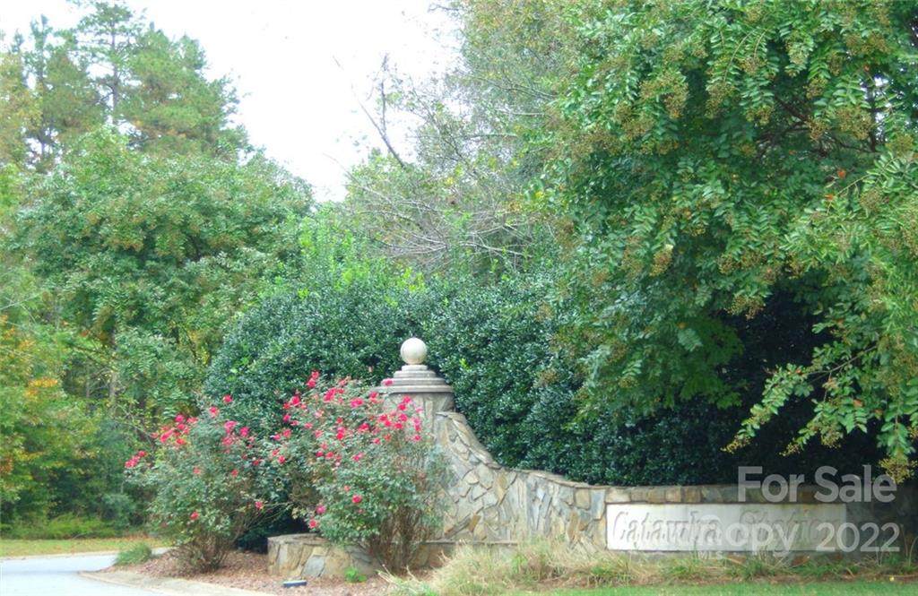 0 Catawba Station Drive - Photo 1