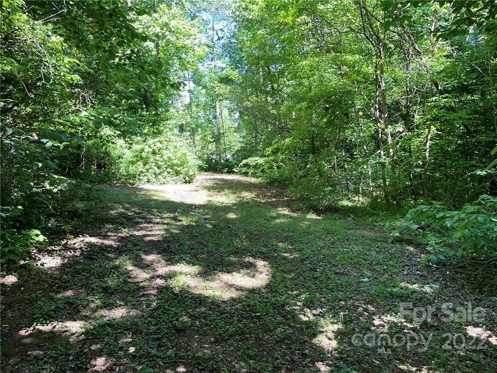 6135 Fox Gap Street - Photo 1