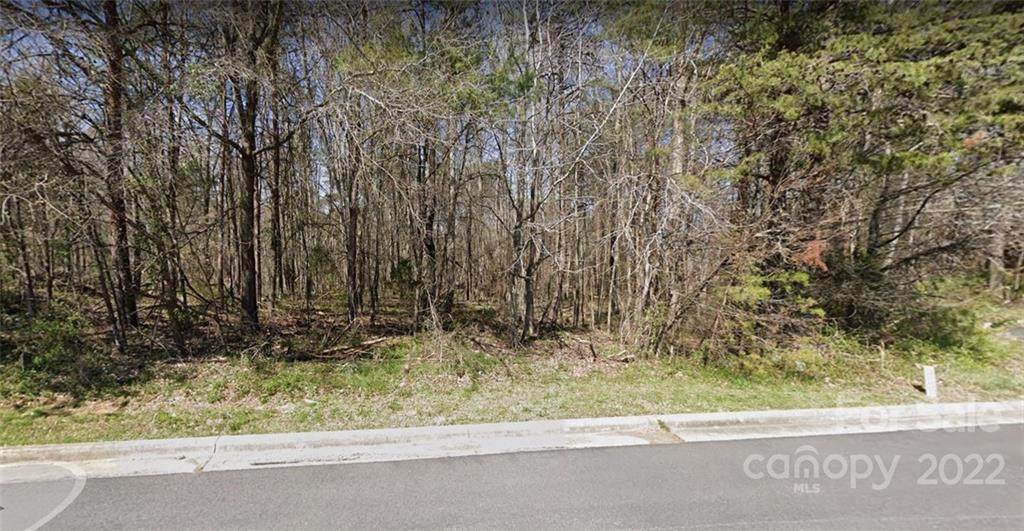 00 Loganberry Lane - Photo 1