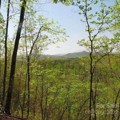 217 Mountain Brook Trail - Photo 1
