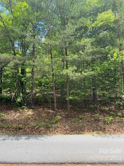 5036 Albert Williams Road - Photo 1