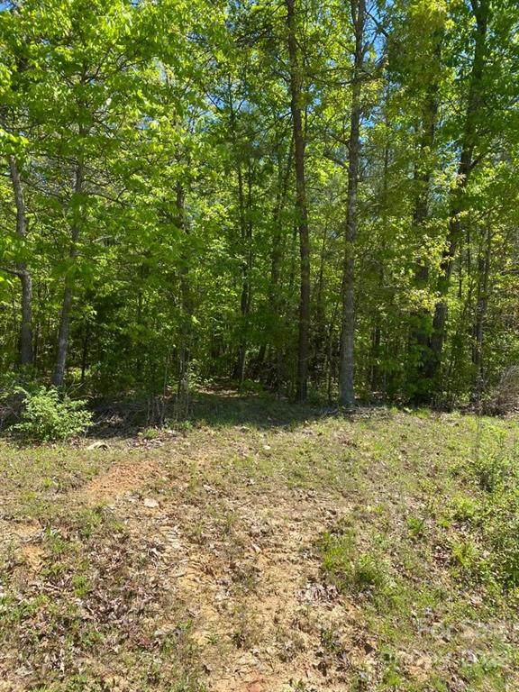 1248 Blacksnake Road - Photo 1
