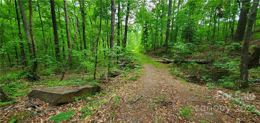 0 Lower Switchback Road - Photo 1