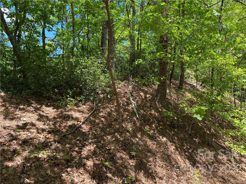 TBD Rumbling Bald Road - Photo 1