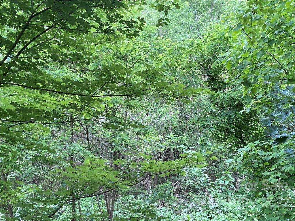 26 Central Avenue - Photo 1