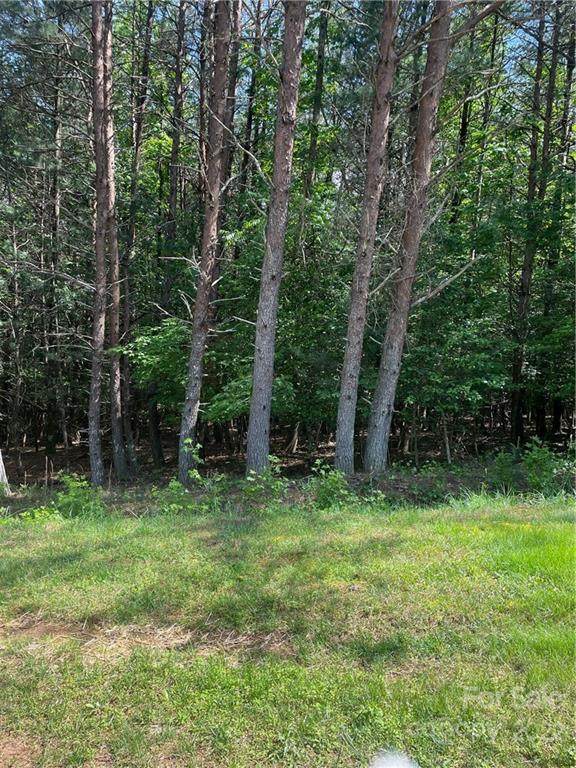 4890 Stream Side Lane - Photo 1