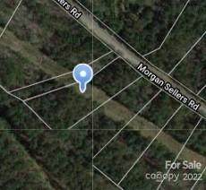 1646 lot 6598 Morgan Sellers Road - Photo 1