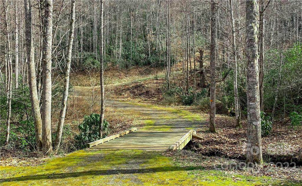 00 Tilley Creek Road - Photo 1