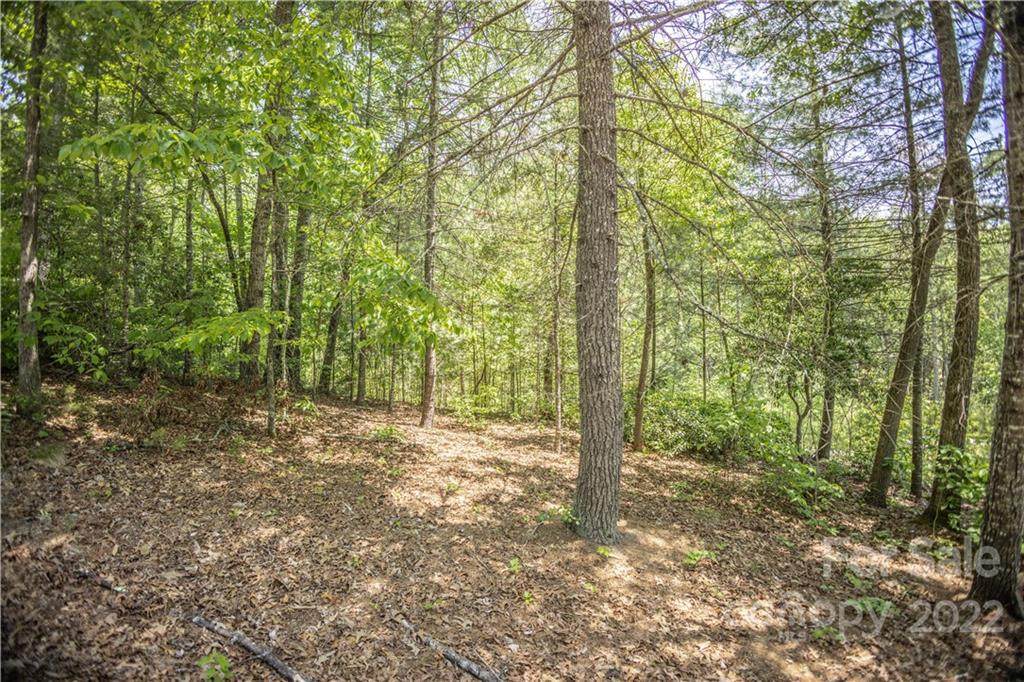 0000 Ridge Creek Drive - Photo 1