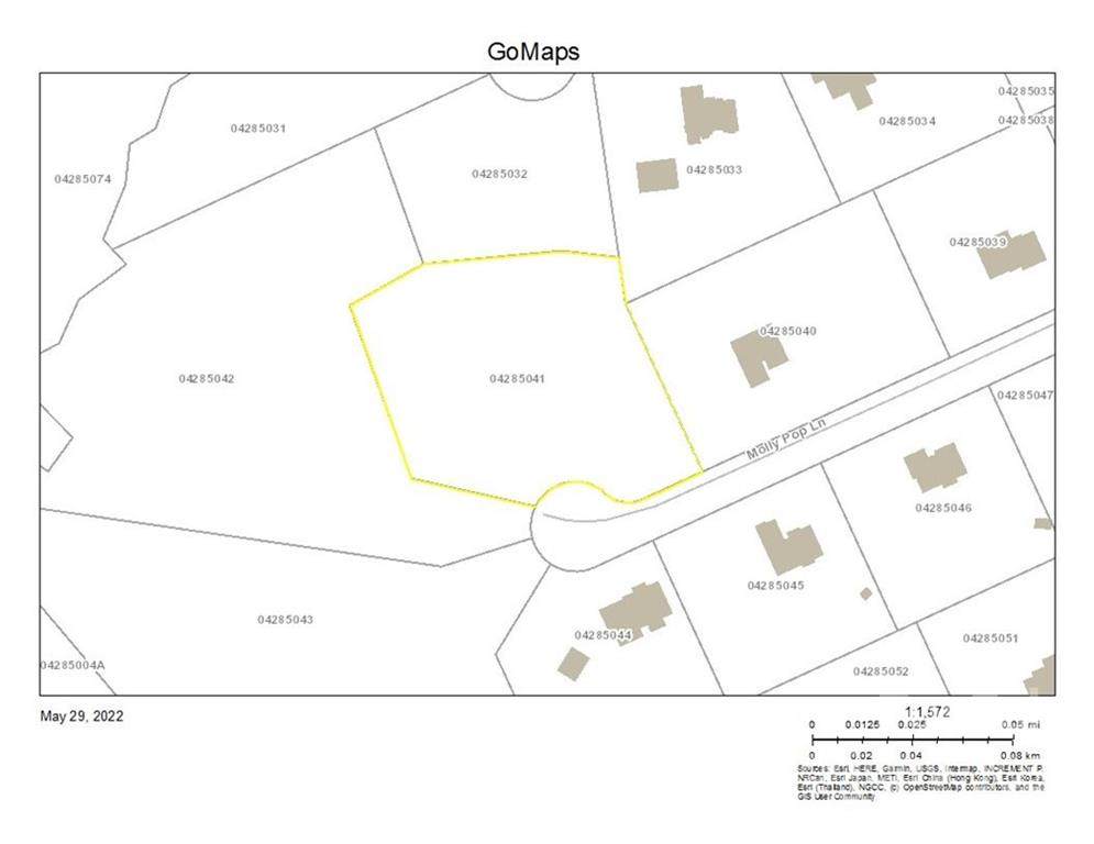 2822 Molly Pop Lane - Photo 1