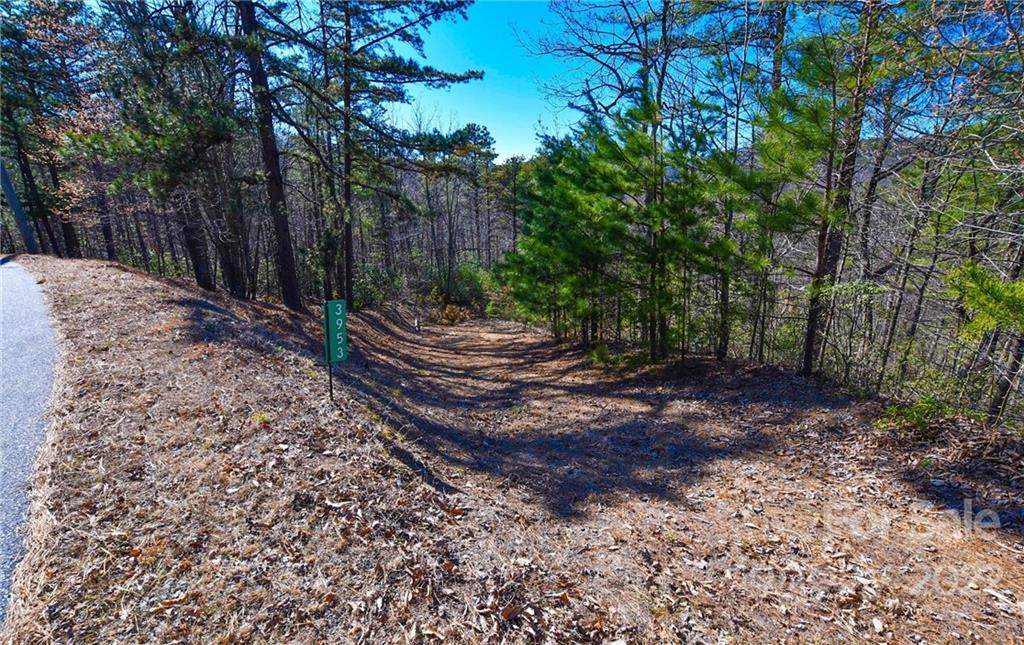 3953 Skyline Drive - Photo 1