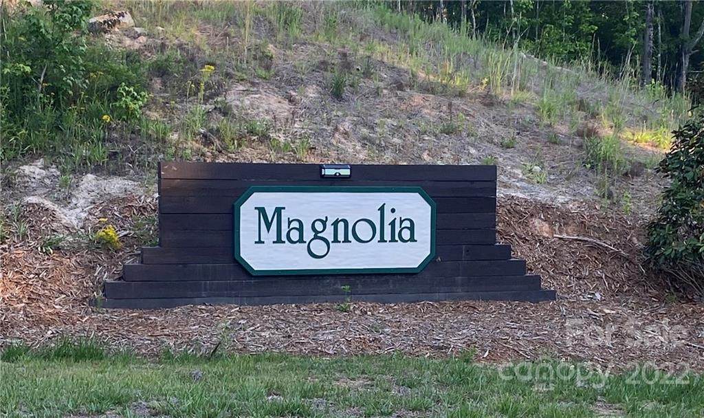 5270 Star Magnolia Court - Photo 1