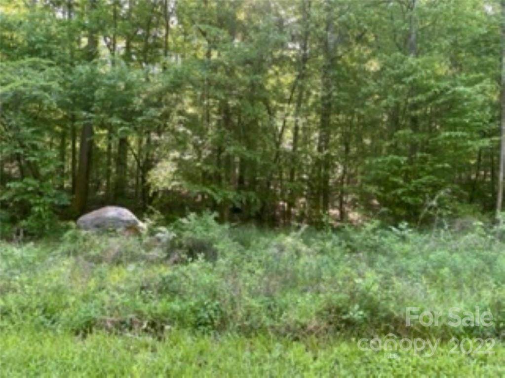 521 Pinelake Drive - Photo 1