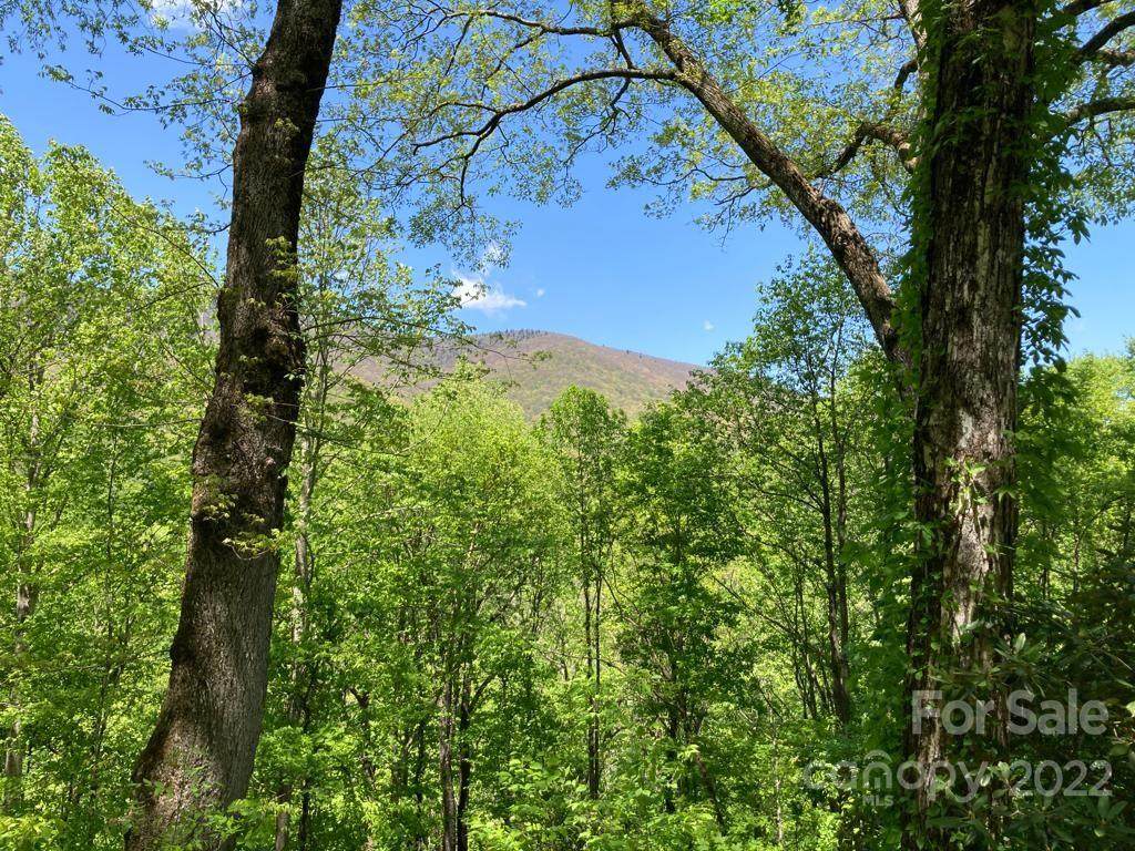 TBD Old Fiddle Road - Photo 1