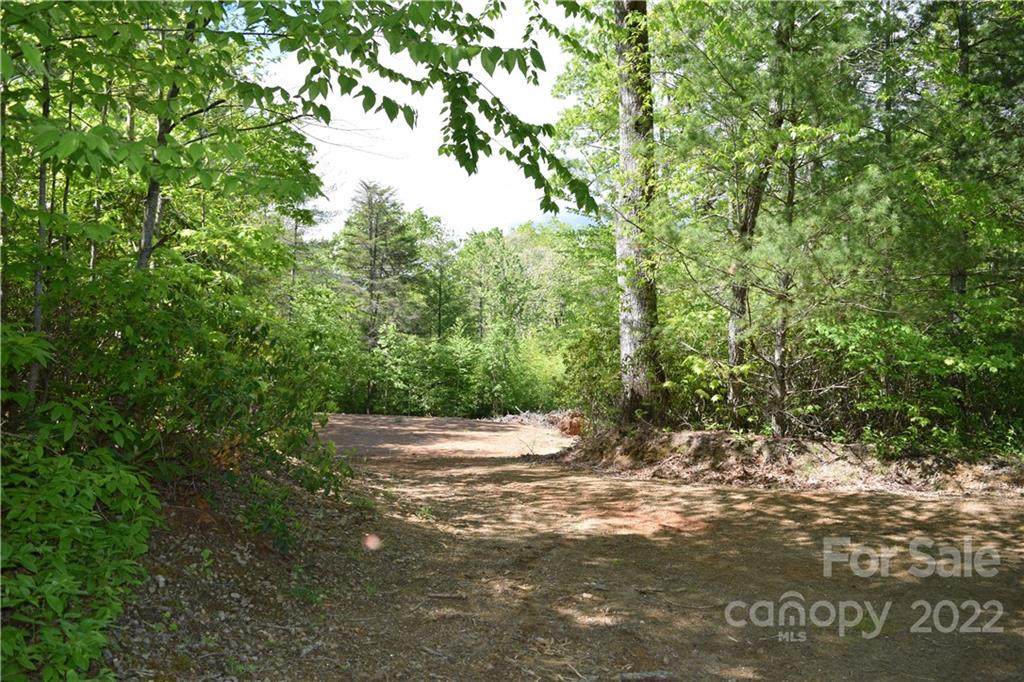 1234 Lower Browns Creek Road - Photo 1