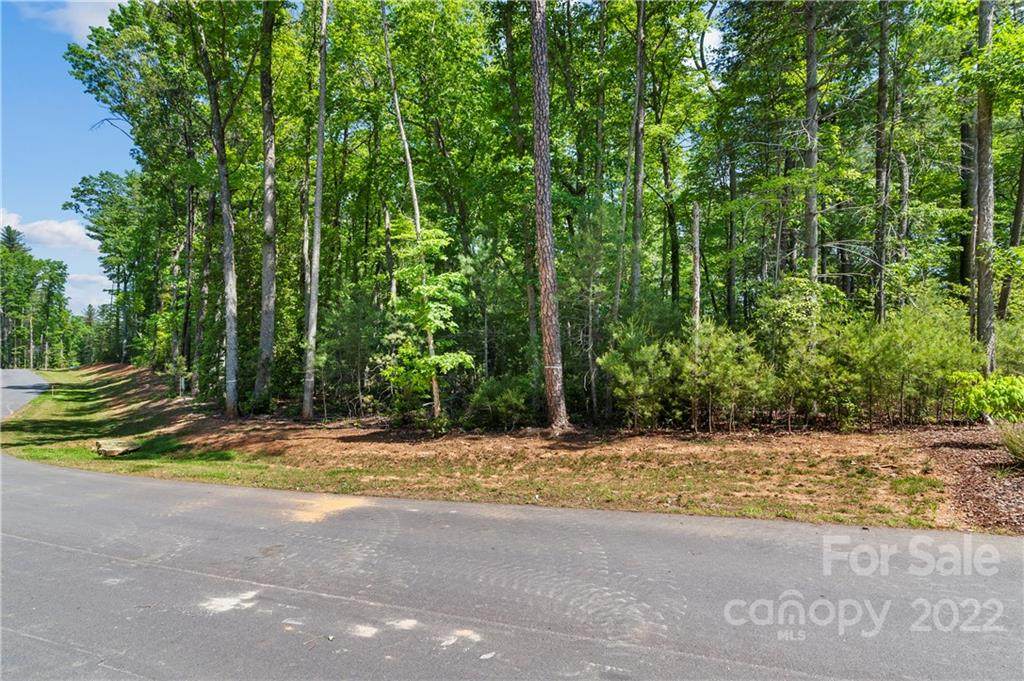 307 Flowering Vine Court - Photo 1