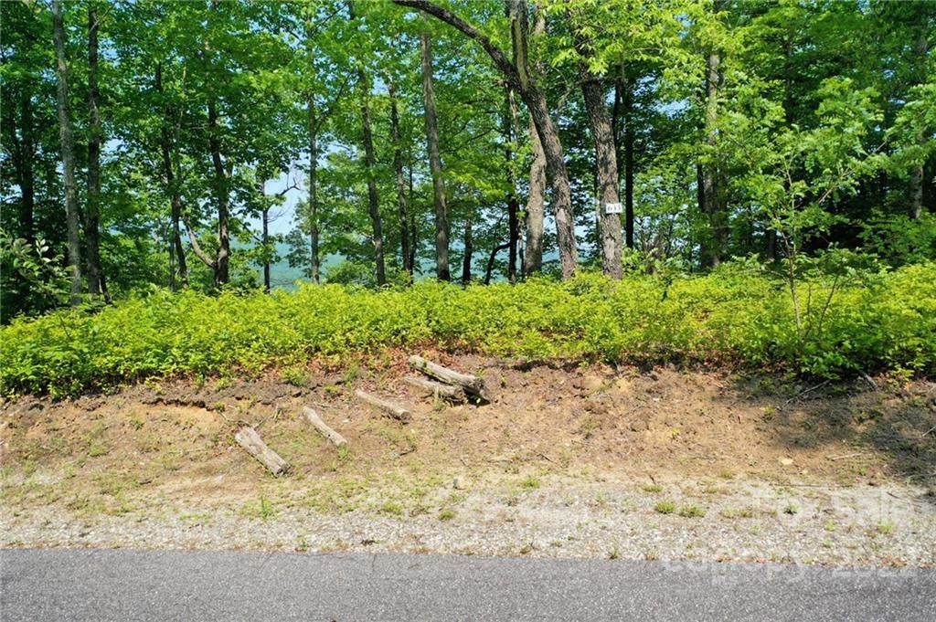 Lot 633 Steeplebush Court - Photo 1