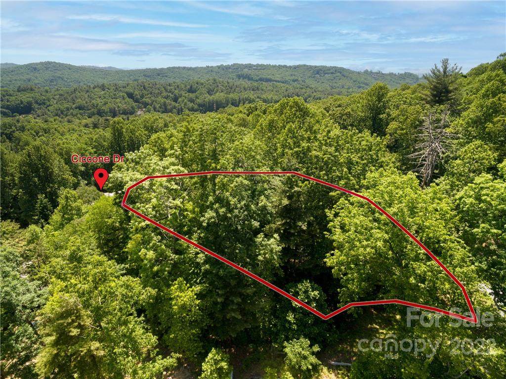 TBD Ciccone Drive - Photo 1