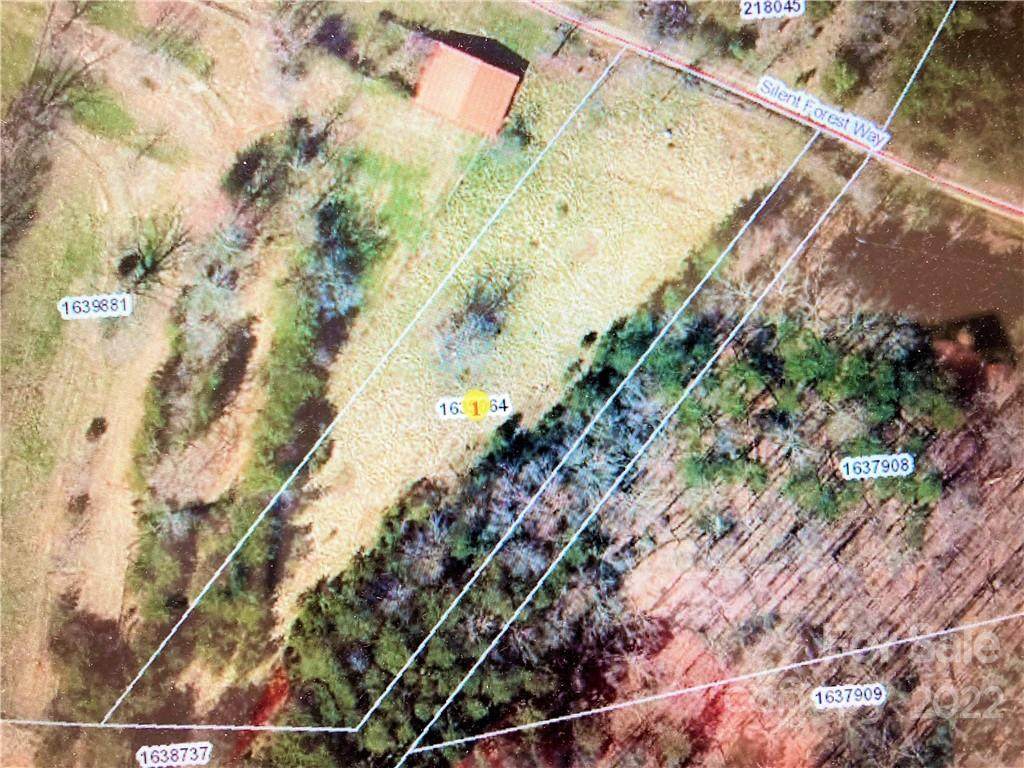 238 Silent Forest Way - Photo 1