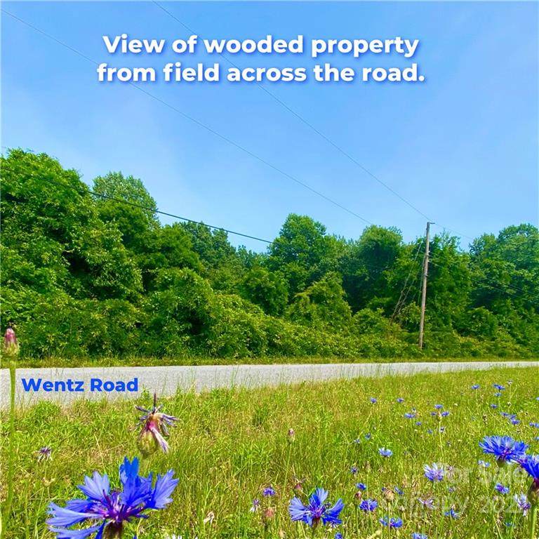 4418 Wentz Road - Photo 1