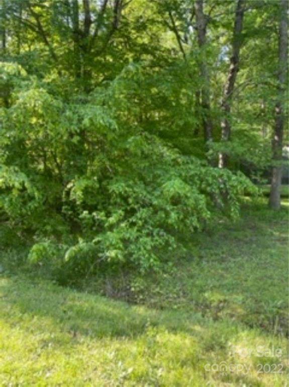 234 Pine Lake Drive - Photo 1