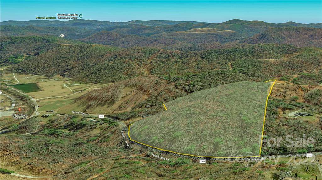 000 Tanasee Gap Road - Photo 1